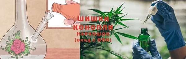 спайс Богданович