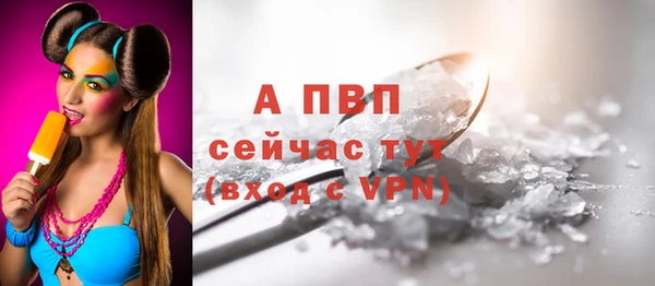 спайс Богданович