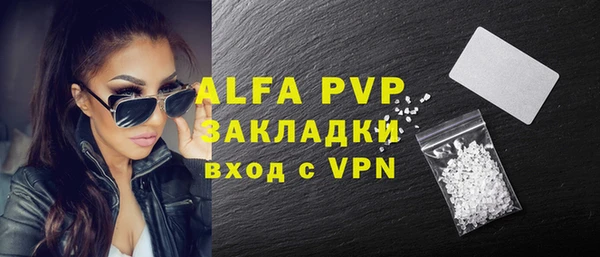 спайс Богданович
