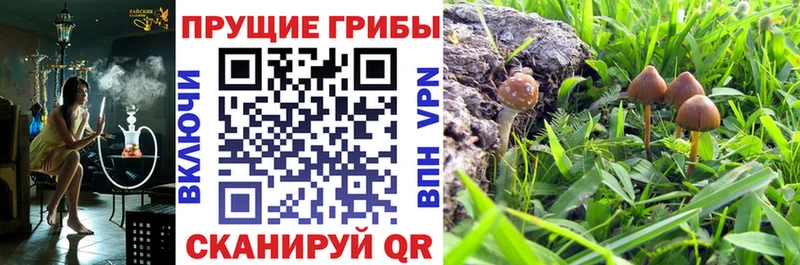 сколько стоит  Кинешма  Галлюциногенные грибы мухоморы 